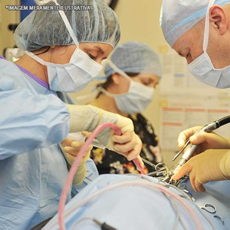 cirurgia de coluna veterinária