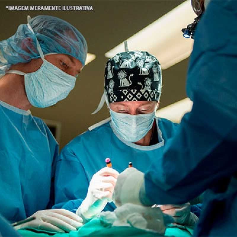 cirurgia veterinária especializada