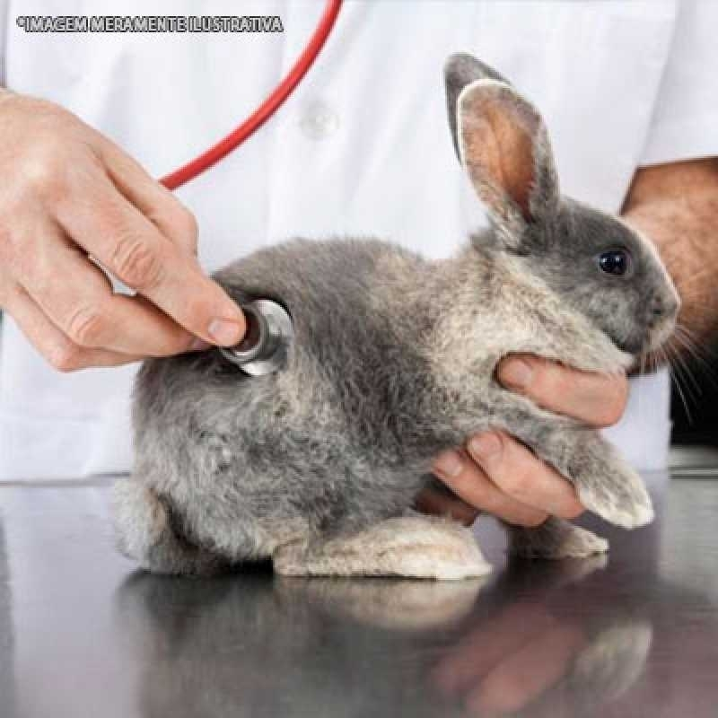 clínicas veterinárias