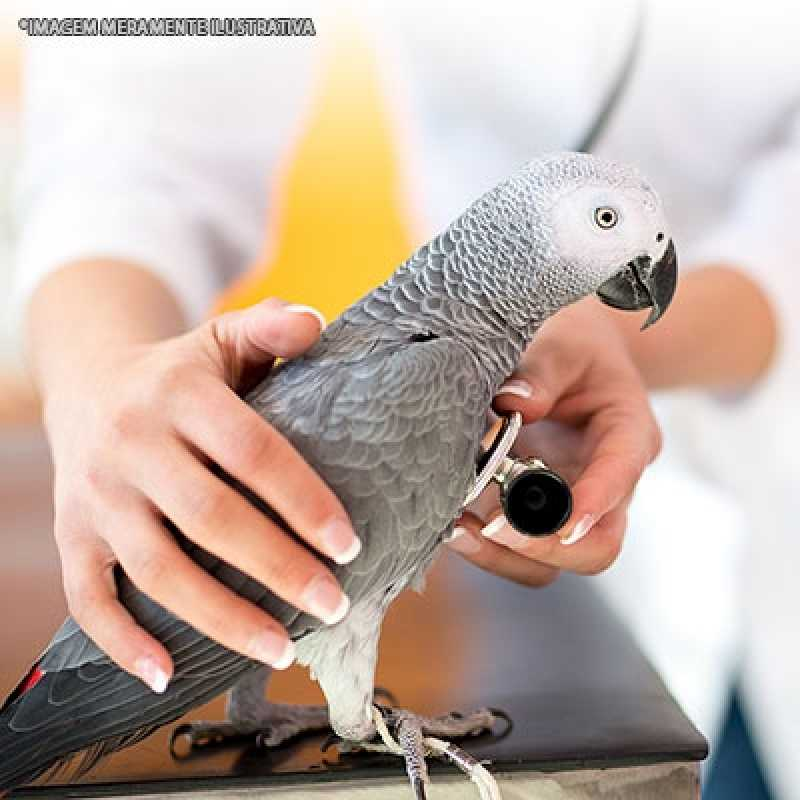 dermatologia veterinária animais silvestres
