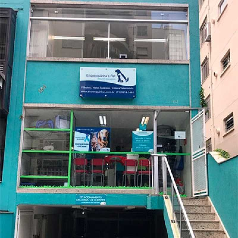 dermatologia veterinaria clinica