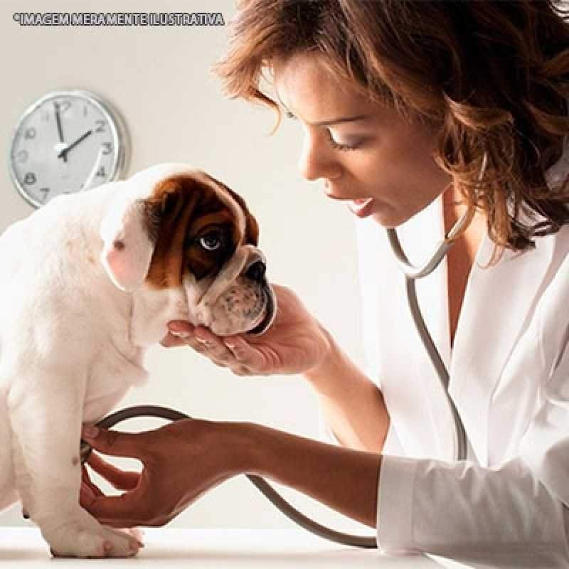 exame físico veterinário
