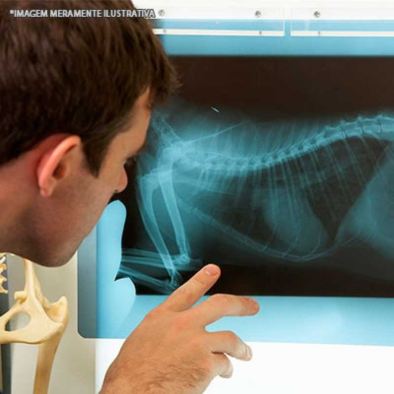 exame radiográfico veterinário