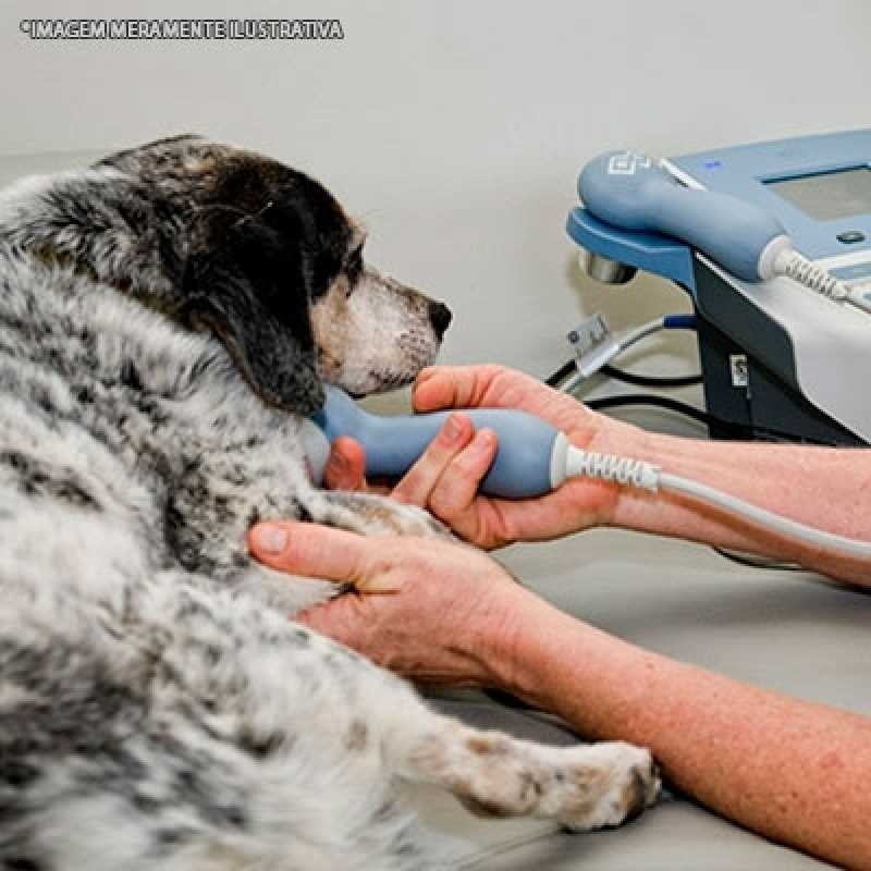 ultrassom para latido de cachorro