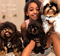 Ketima (Mel) (Bella) (Cleo). Ketima (Mel) (Bella) (Cleo).