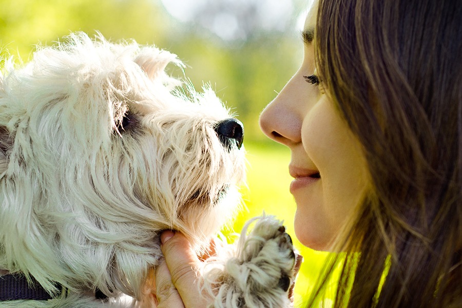 4 Atitudes simples para um melhor convívio com seu cão